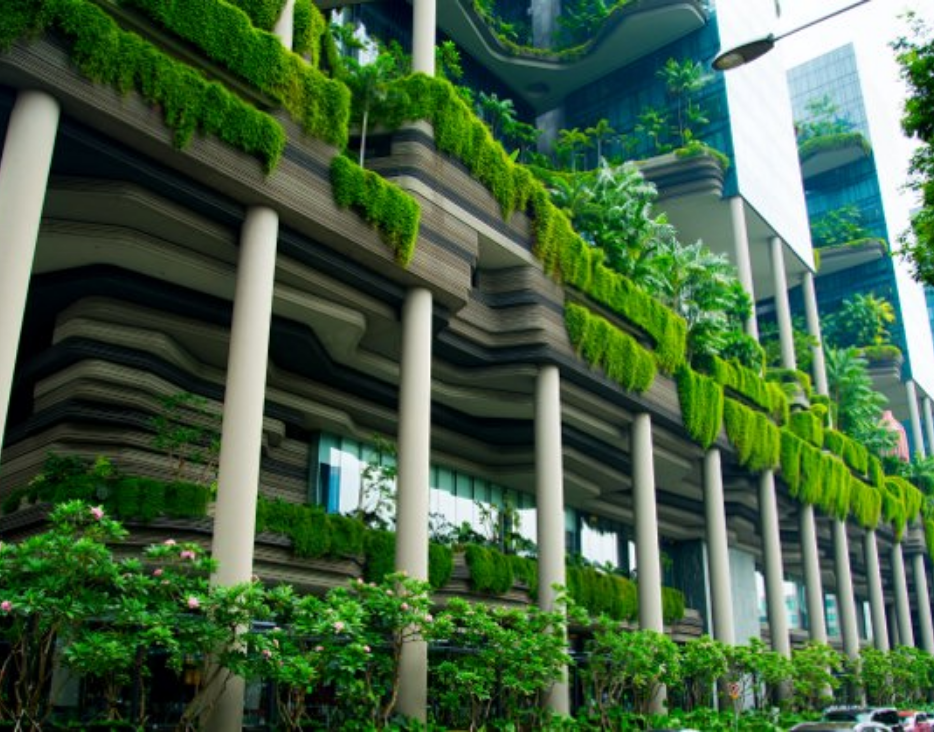 Sustainability